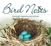 Bird Nests