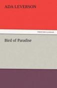 Bird Of Paradise