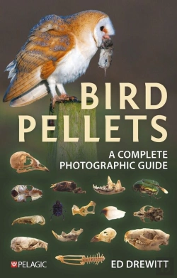 Bertrand.pt - Bird Pellets