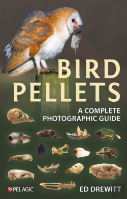 Bertrand.pt - Bird Pellets