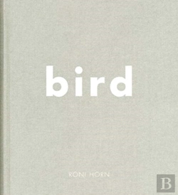 Bertrand.pt - Bird