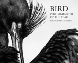 Bertrand.pt - Bird Photographer Of The Year 2026