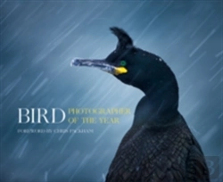 Bertrand.pt - Bird Photographer Of The Year