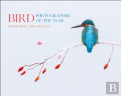 Bird Photographer Of The Year