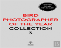 Bird Photographer Of The Year