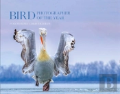 Bird Photographer Of The Year