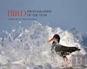 Bird Photographer Of The Year
