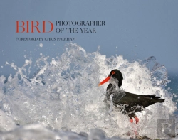 Bertrand.pt - Bird Photographer Of The Year