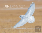 Bird Photographer Of The Year