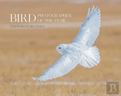 Bertrand.pt - Bird Photographer Of The Year