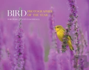 Bird Photographer Of The Year
