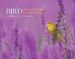 Bertrand.pt - Bird Photographer Of The Year