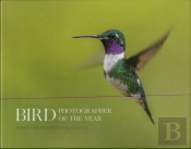 Bird Photographer Of The Year