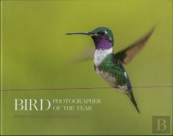 Bertrand.pt - Bird Photographer Of The Year