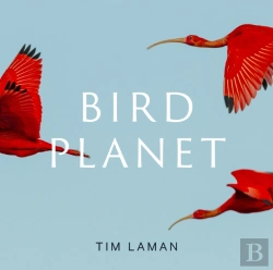 Bertrand.pt - Bird Planet