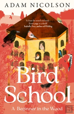 Bertrand.pt - Bird School