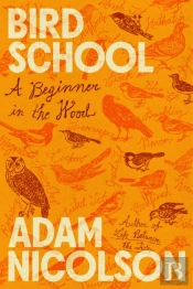 Bird School