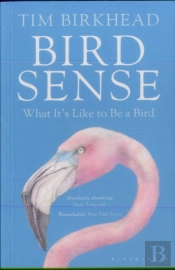 Bird Sense