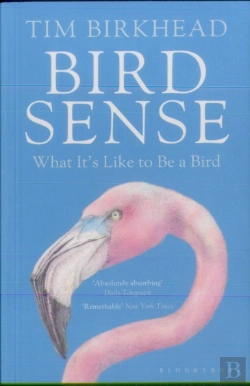 Bertrand.pt - Bird Sense