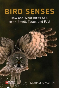 Bertrand.pt - Bird Senses