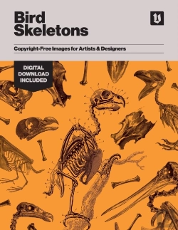 Bertrand.pt - Bird Skeletons