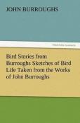 Bird Stories From Burroughs Sketches Of Bird Life Taken From The Works Of John Burroughs