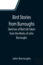 Bird Stories From Burroughs  Sketches Of