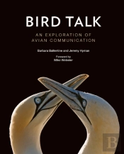 Bird Talk