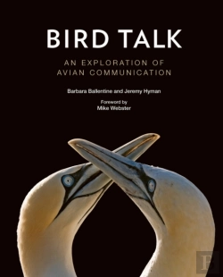 Bertrand.pt - Bird Talk