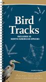 Bird Tracks