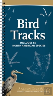 Bird Tracks