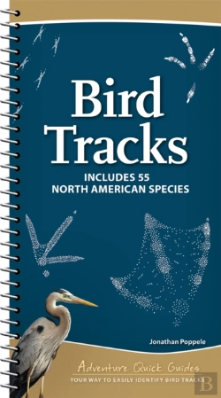 Bertrand.pt - Bird Tracks
