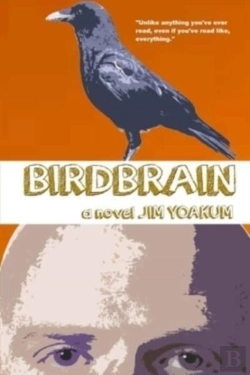 Bertrand.pt - Birdbrain