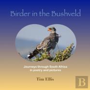 Birder In The Bushveld