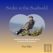 Birder In The Bushveld