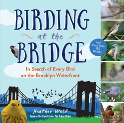 Bertrand.pt - Birding At The Bridge