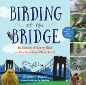 Birding At The Bridge