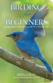 Birding For Beginners