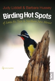 Birding Hotspots Of Santa Fe, Taos, And Northern New Mexico