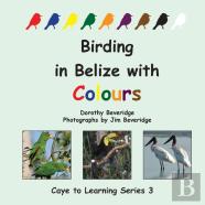 Birding In Belize With Colours