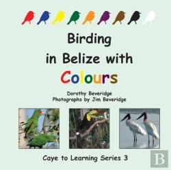 Bertrand.pt - Birding In Belize With Colours