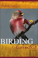 Birding In Connecticut