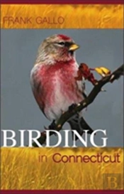 Birding In Connecticut
