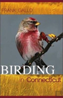 Bertrand.pt - Birding In Connecticut