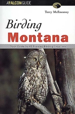 Bertrand.pt - Birding Montana