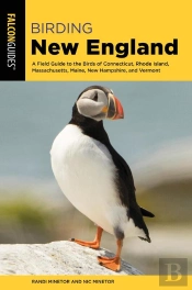 Birding New England
