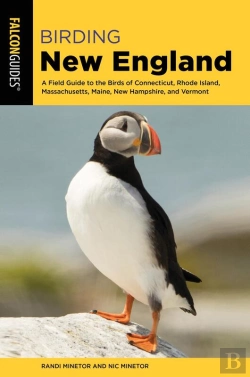 Bertrand.pt - Birding New England