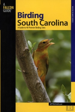Bertrand.pt - Birding South Carolina