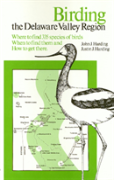 Birding The Delaware Valley
