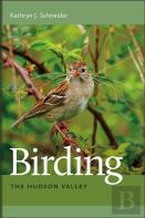 Birding The Hudson Valley